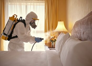 Keep the Pests Out: Proven Pest Control Tips for Restaurants and Hotels