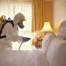 Keep the Pests Out: Proven Pest Control Tips for Restaurants and Hotels